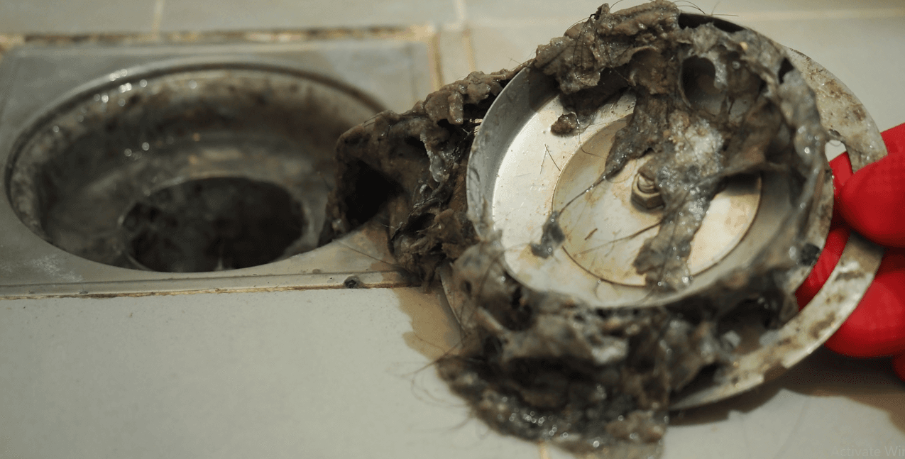 Why is Sewage Coming Up Shower Drains?